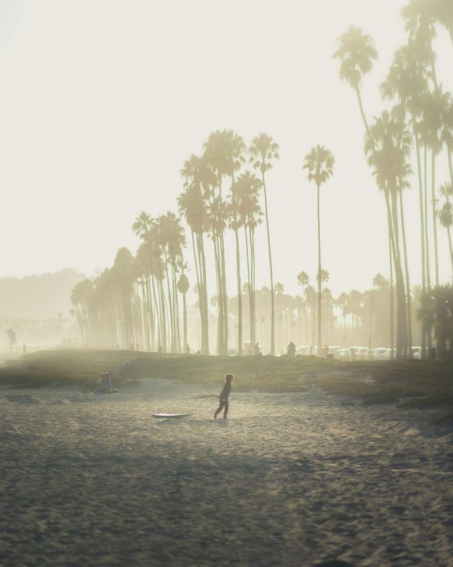 A silhouette of a person walking across a hazy, sandy beach lined with tall palm trees under bright, golden light.