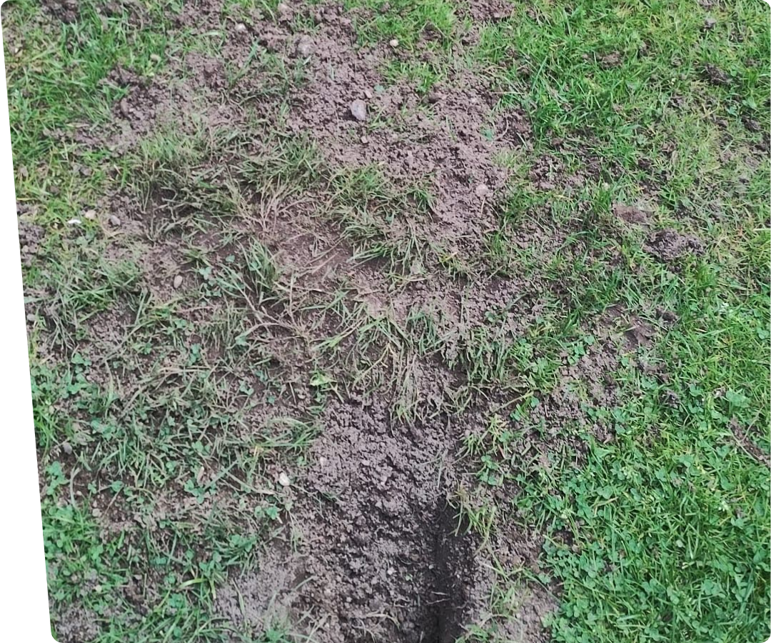 bare spots artificial grass for dogs