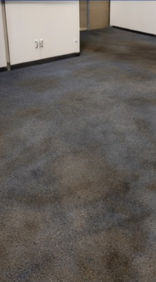A room with white walls and a large, heavily stained, dark gray industrial carpet.