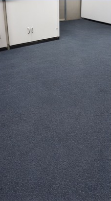 An interior corner of a room with light grey walls, dark blue carpeting, and a visible electrical outlet.