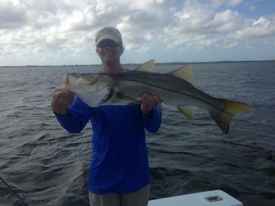 A man in a blue shirt is holding a large fish in his hands