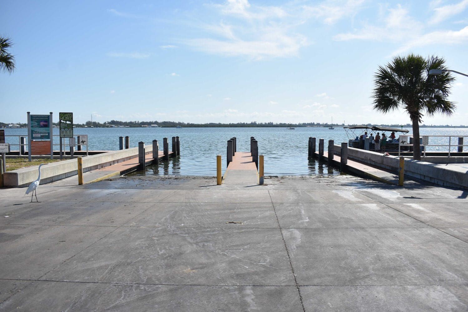 A dog is standing on a dock next to a body of water.