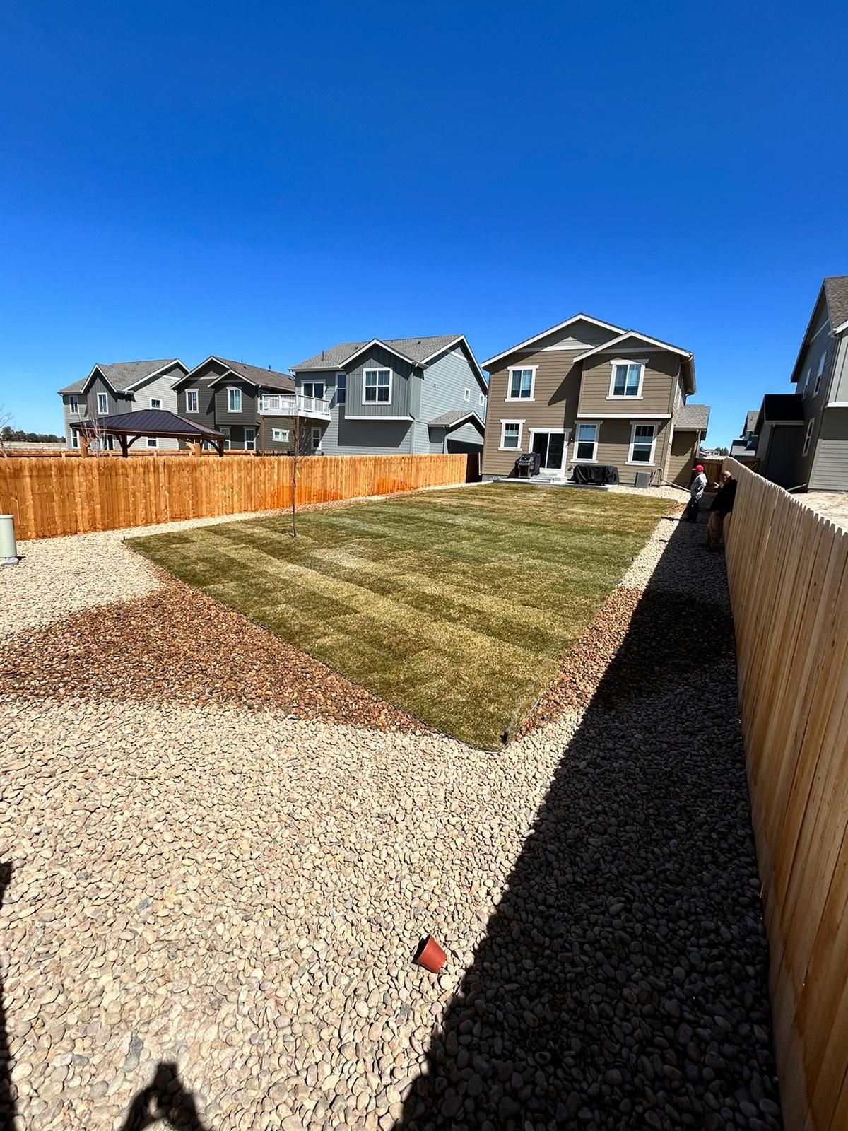 A backyard with a wooden fence and houses in the background.