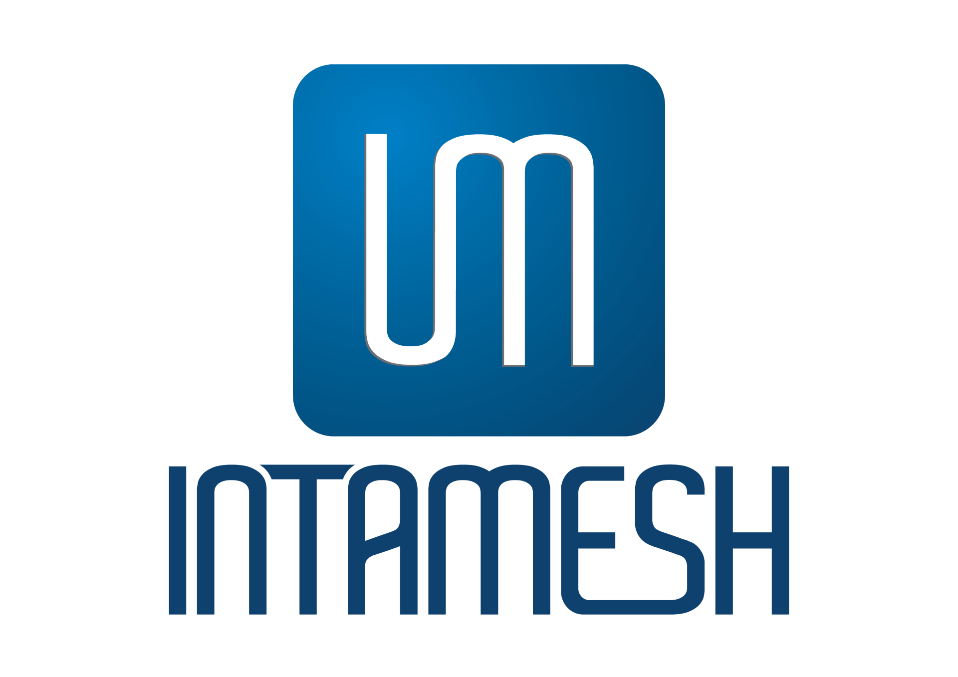 Intamesh-Logo