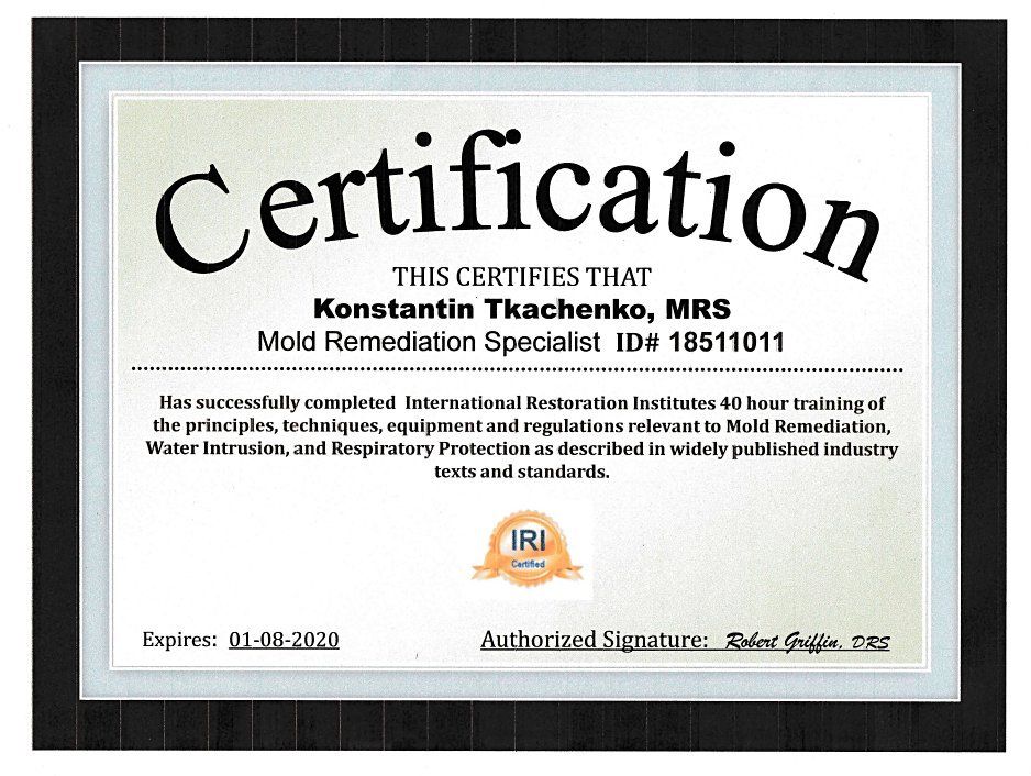 mold removal certification