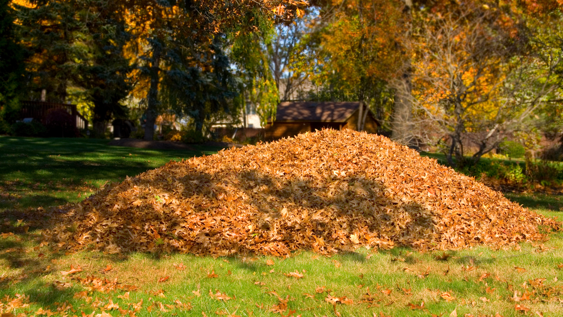 Spring & Fall Cleanups in Westminster, CO