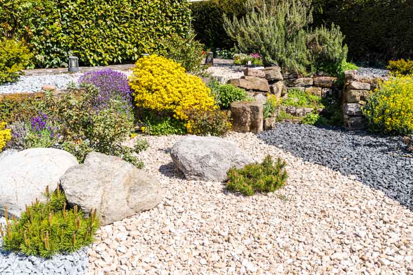 A garden filled with rocks , plants and flowers.
