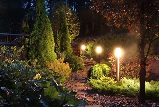 Landscape Lighting Installation