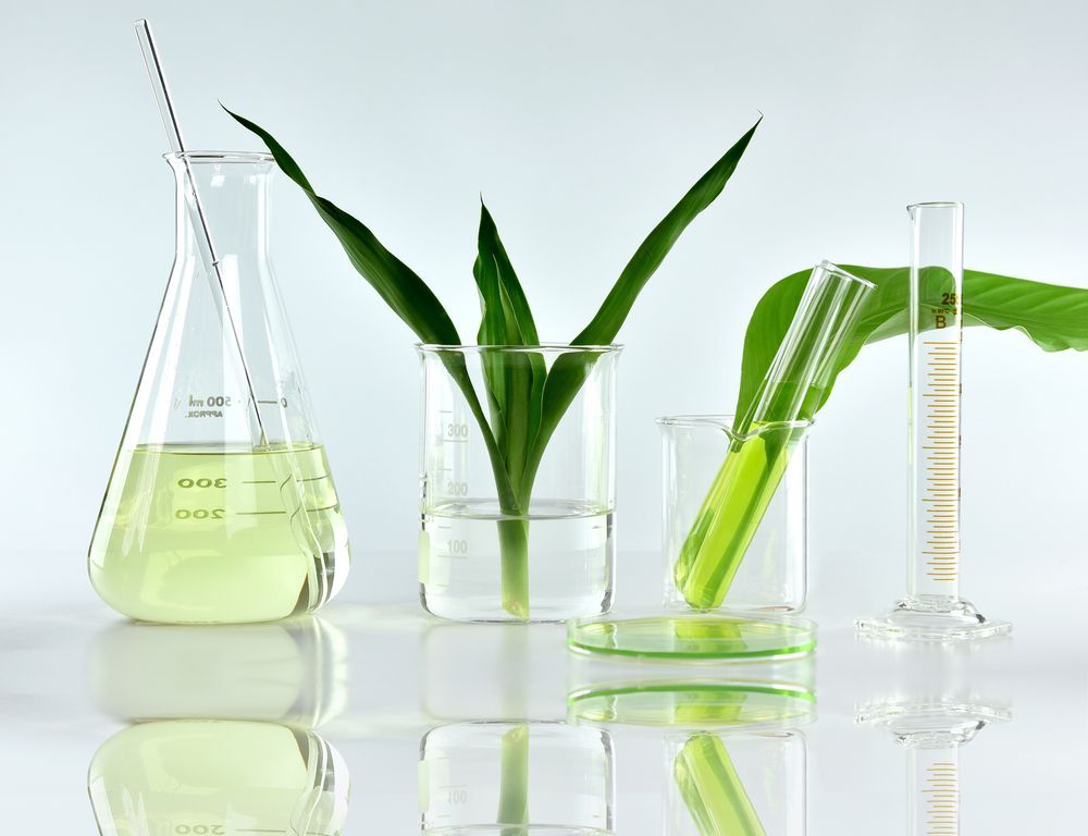 Laboratory Glassware With Green Liquid and Plants, Suggesting Bio-research — C & D Manufacturing In Caboolture, QLD