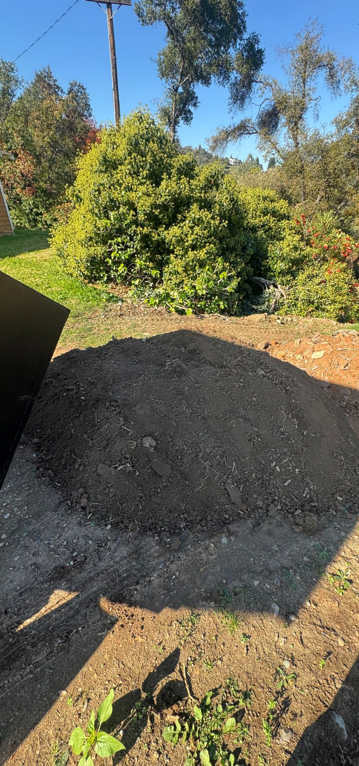 A pile of dark soil sits in a yard with a green bush and tall tree in the background. Sunny day.