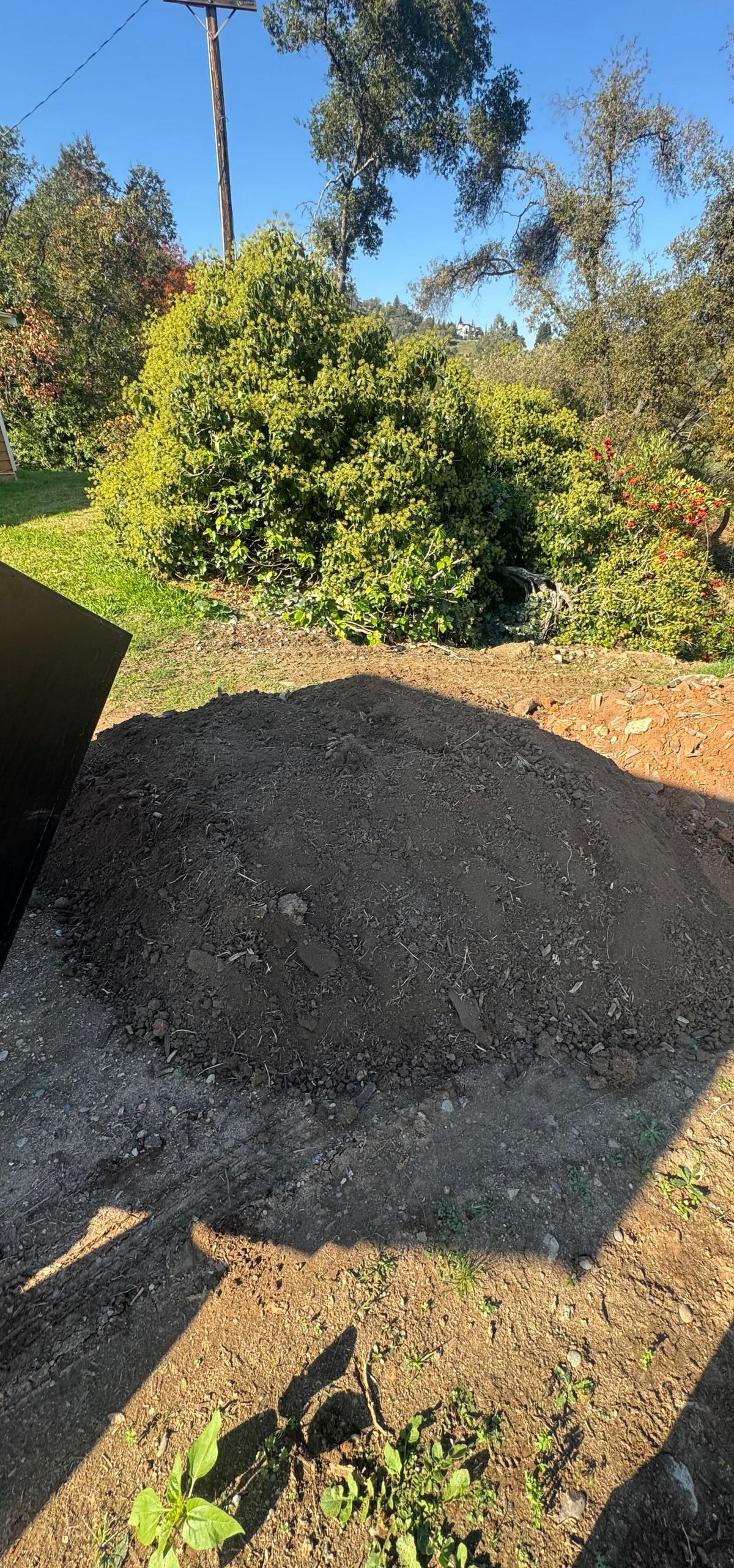 A pile of dark soil sits on the ground in front of a green bush and some trees.