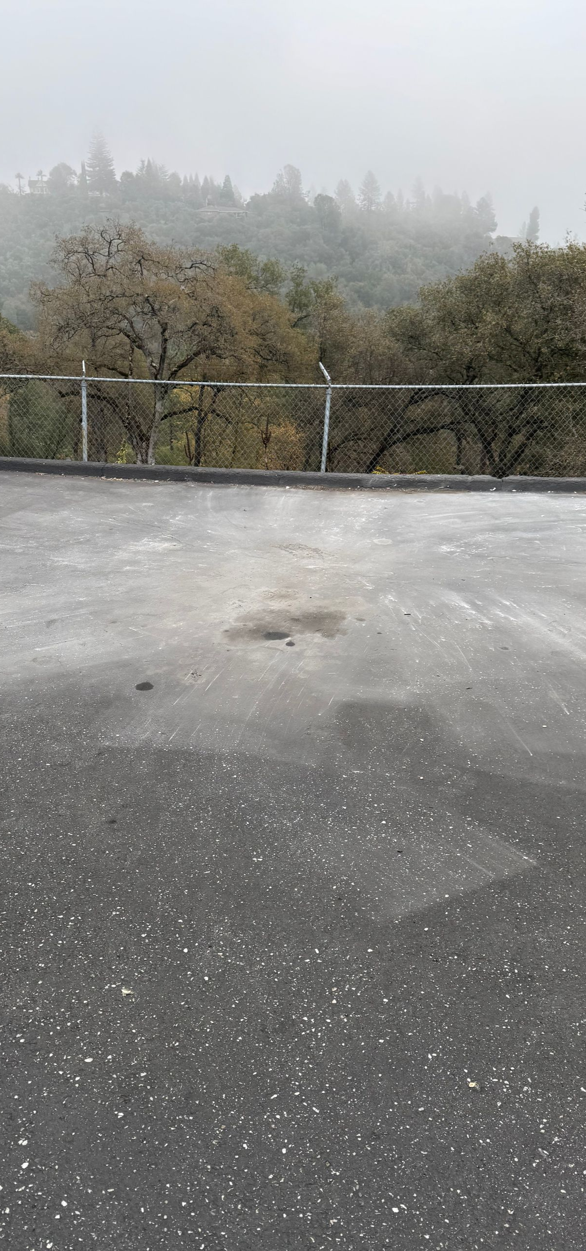 Overcast day overlooking a fence and trees. The ground is wet.