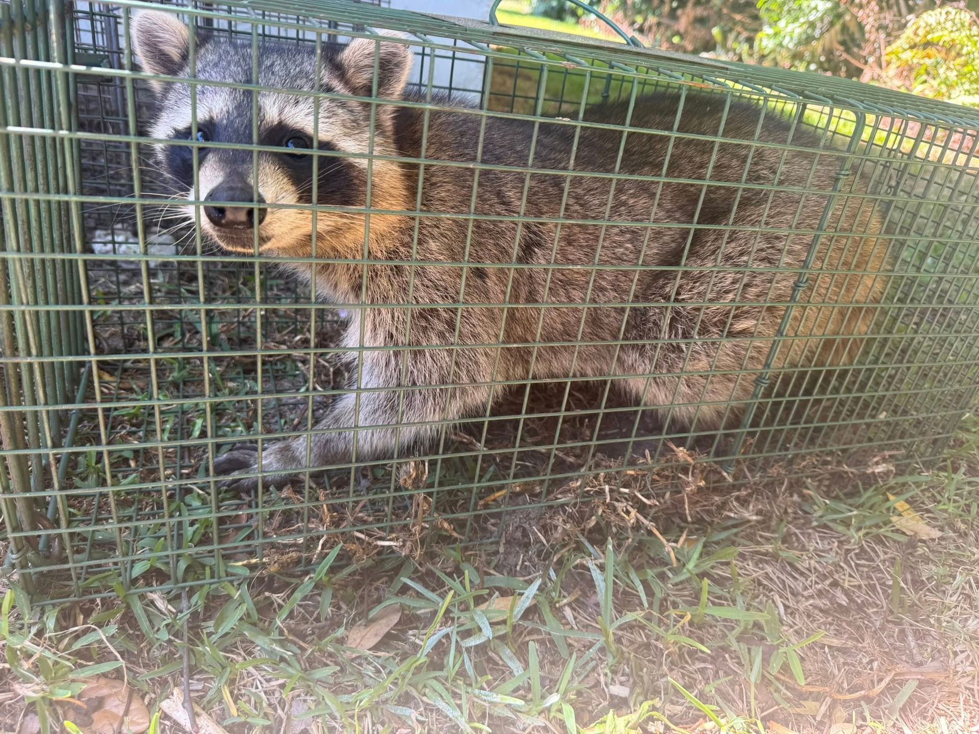 A person in a white apron is working in a kitchen