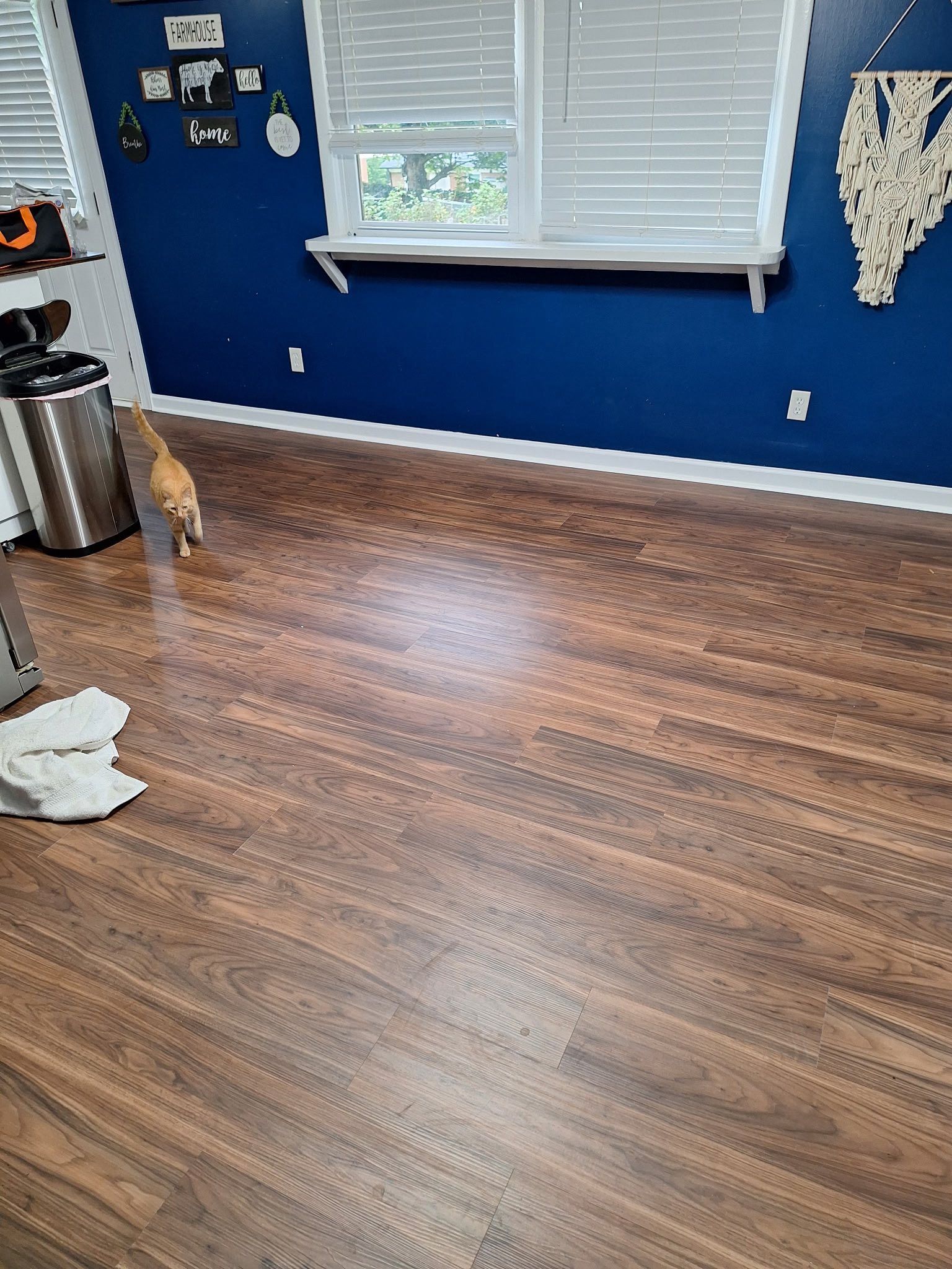 Brown wood-look flooring in room with blue walls, window, and a small dog walking.