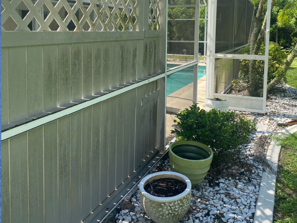 Two potted plants are sitting next to a fence next to a pool - Port Charlotte, FL - MD Pressure Cleaning & Soft Wash