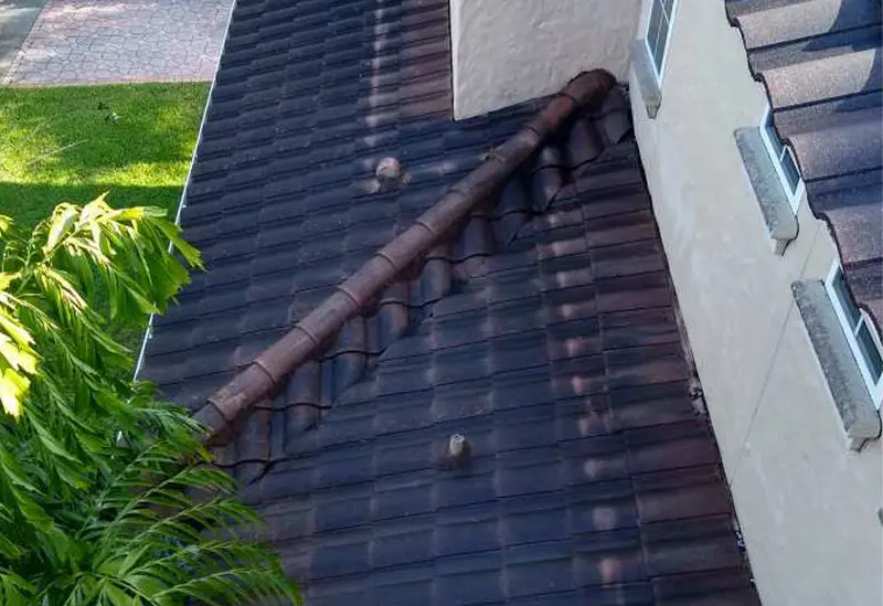 A roof with a chimney on it and a tree in the background - Port Charlotte, FL - MD Pressure Cleaning & Soft Wash