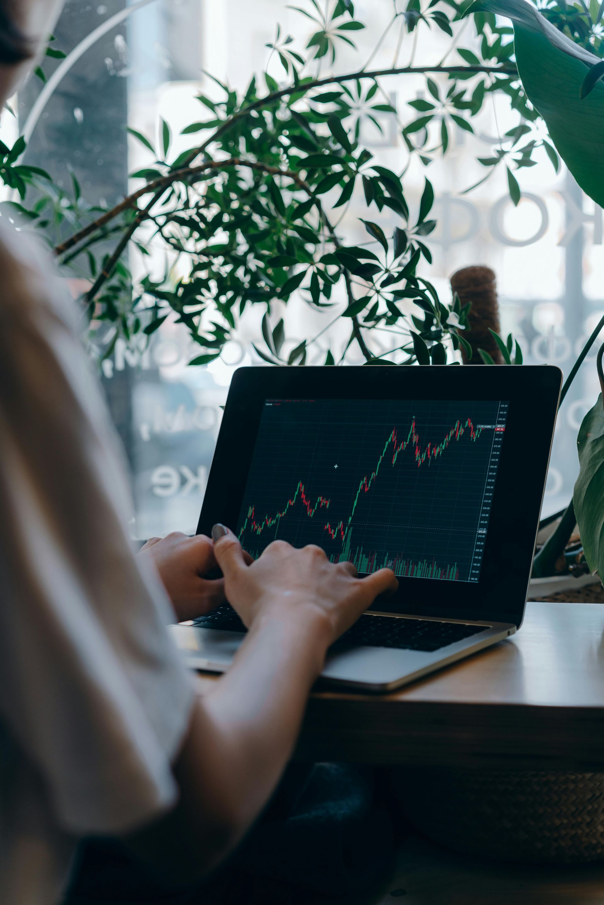 Person using a laptop with a stock chart at a desk by a window with plants