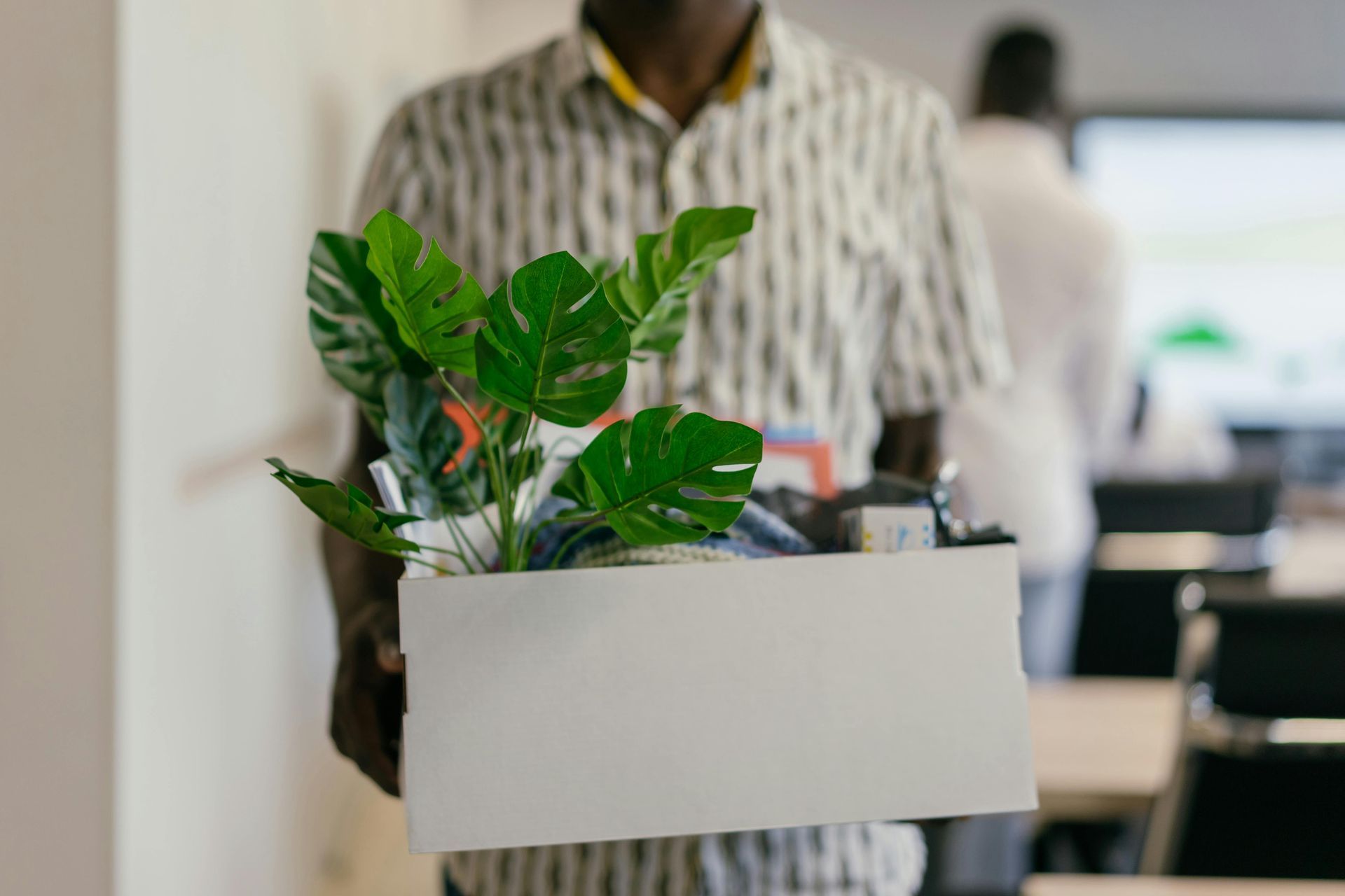 Person carrying a white box with a green potted plant indoors
