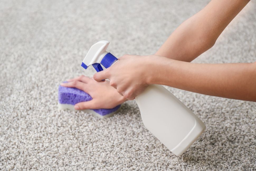 AAHS Carpet & Upholstery Cleaning - Top Rated Carpet Cleaning - Blue