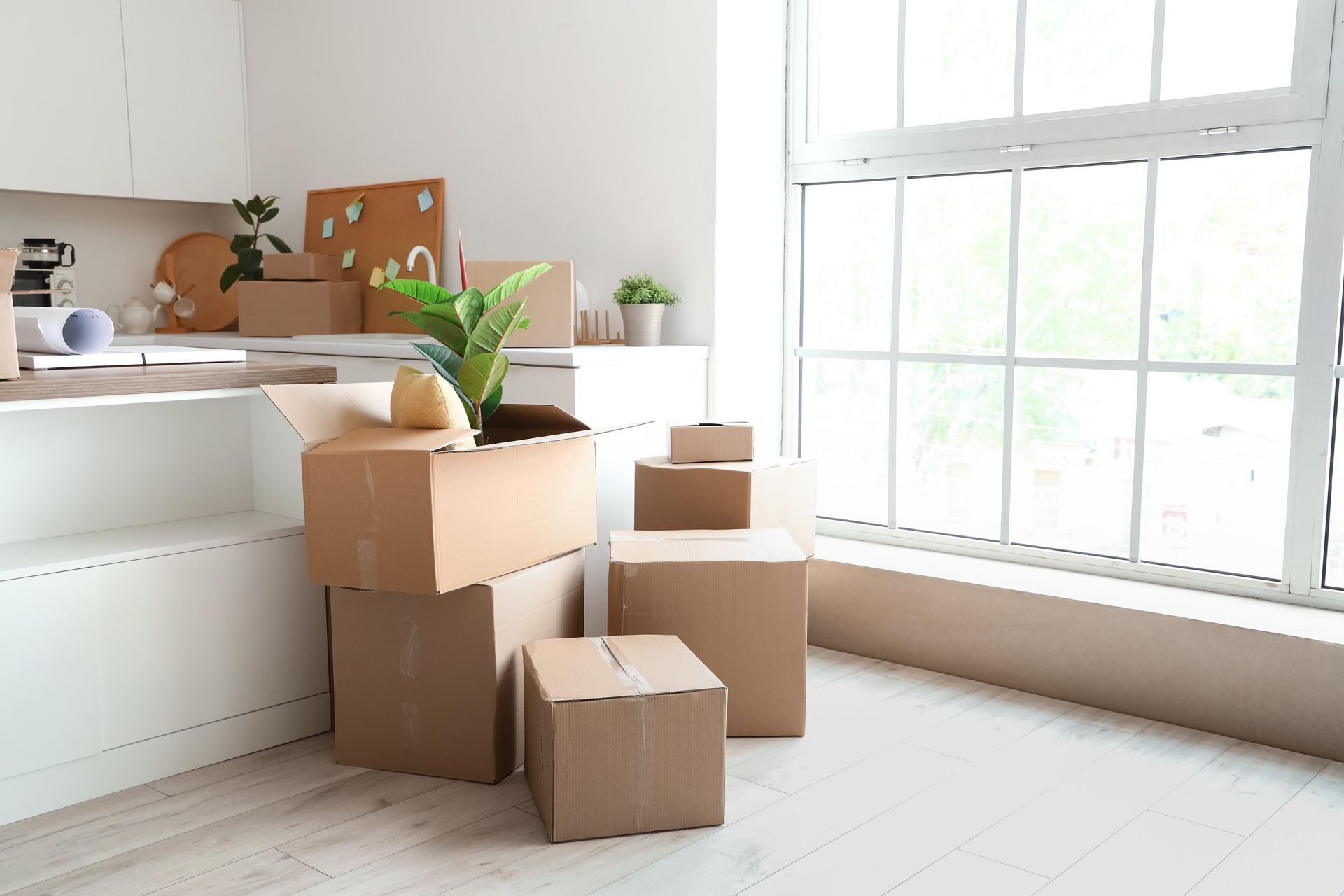 Cardboard boxes stacked near a window, suggesting a move, with a plant in an open box.
