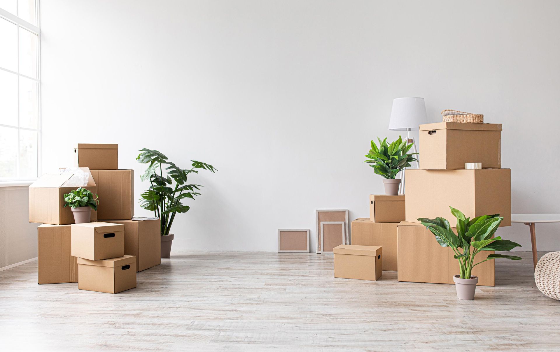 Boxes stacked in a room with plants; moving boxes are next to a window and a lamp.