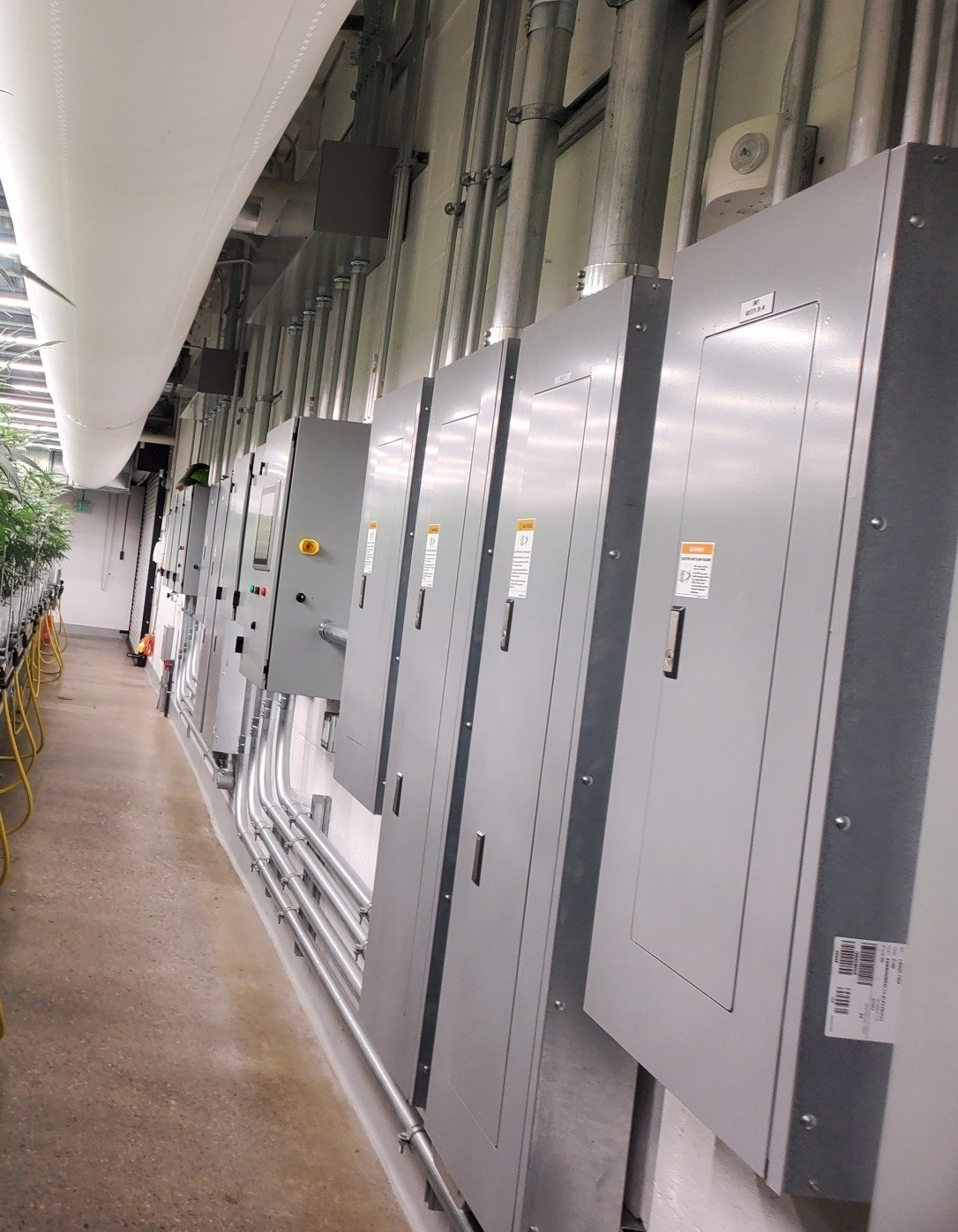 Contractors Electrical Plus | Westfield