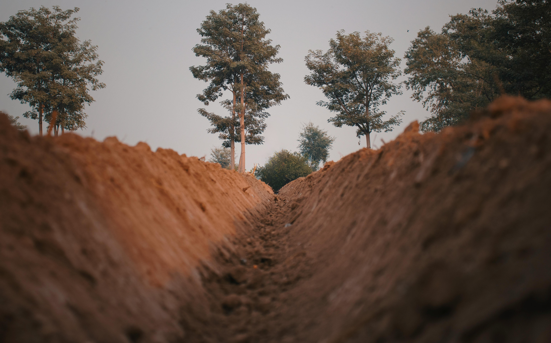 A Wooden Fence Surrounds A Grassy Field With Trees In The Background — AMW Contracting Co In Cobraball, QLD