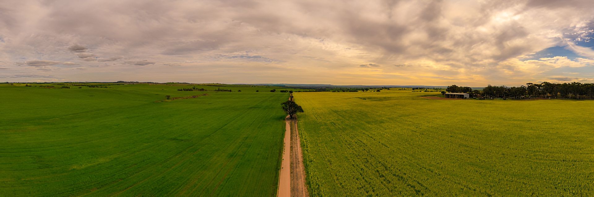 An Aerial View Of A Dirt Road Going Through A Green And Yellow Field — AMW Contracting Co In Cobraball, QLD