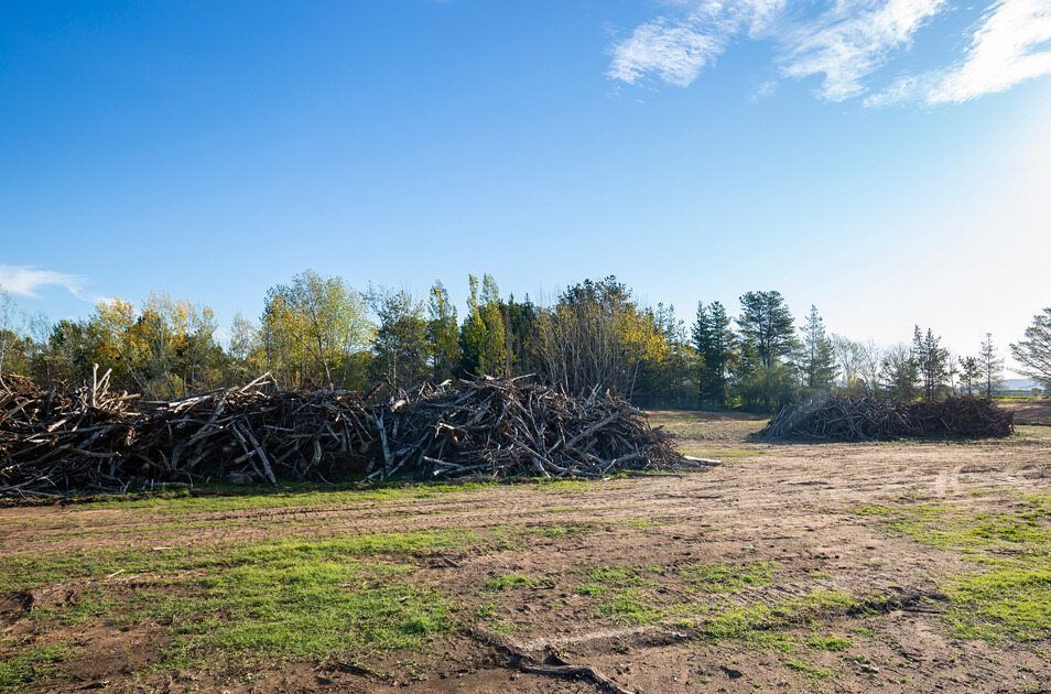 A Pile Of Logs In A Field With Trees In The Background — AMW Contracting Co In Cobraball, QLD