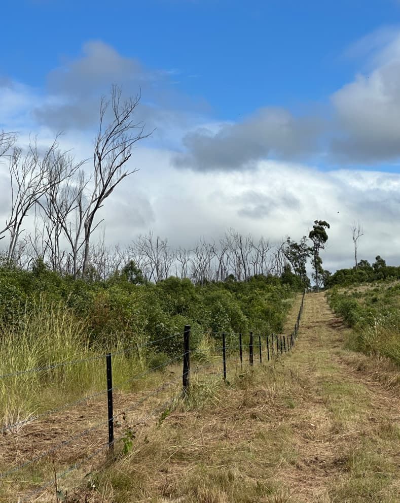 A Dirt Road Going Through A Grassy Field With Trees And A Fence — AMW Contracting Co In Cobraball, QLD