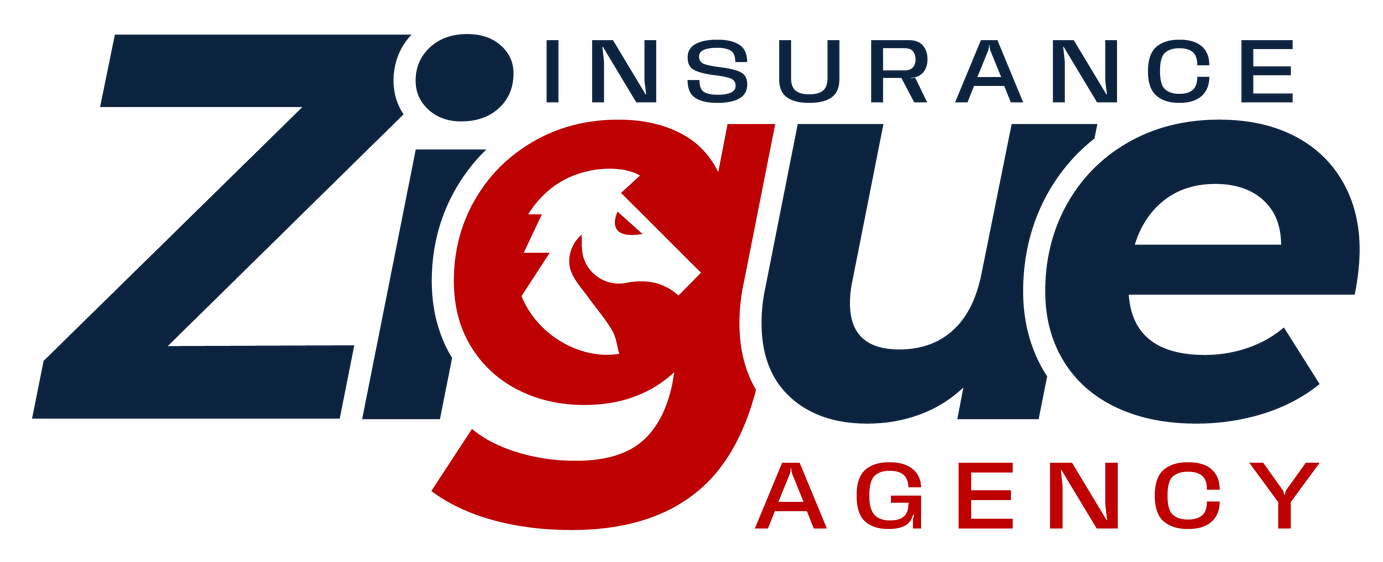 Logotipo de la Agencia de Seguros Zigue.