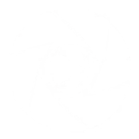 The white Metallica logo, featuring stylized, jagged lettering, centered on a plain black background.