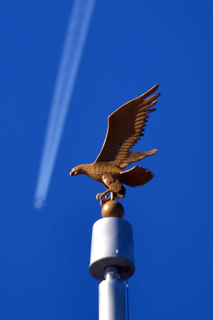 A statue of an eagle on top of a pole