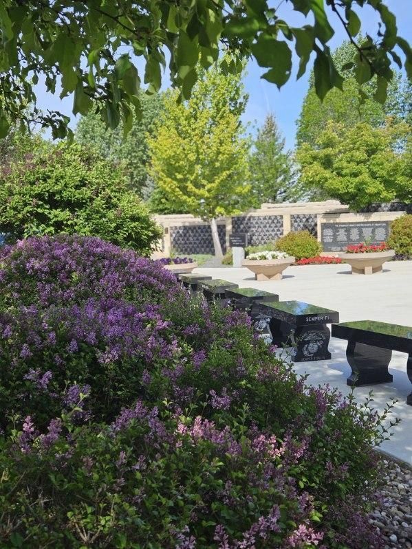 A row of benches in a park surrounded by purple flowers