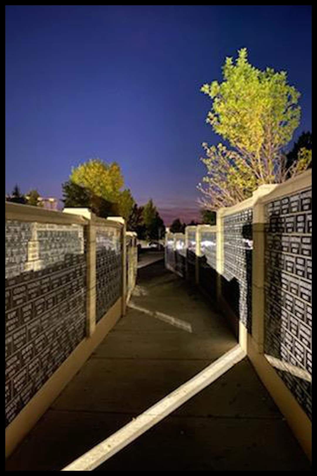 A walkway with a brick wall and a tree in the background at night
