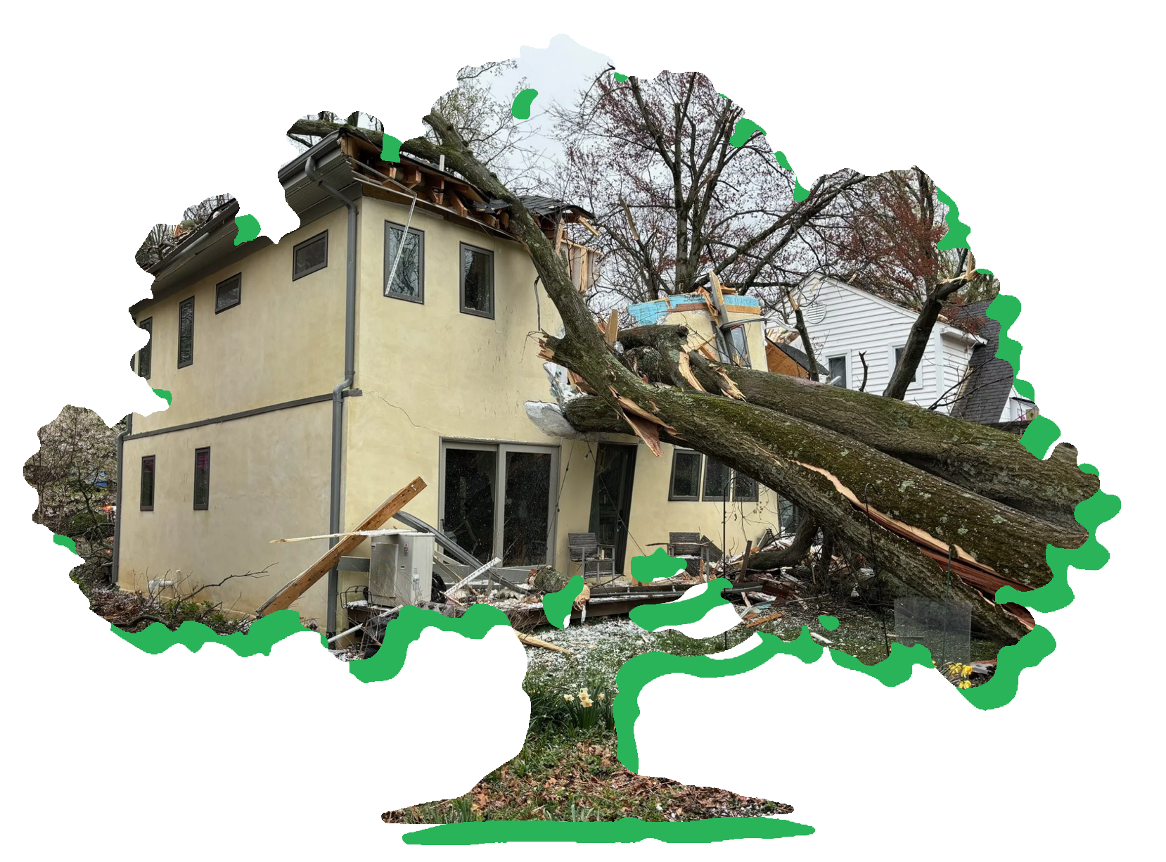 Bright Adjustments | Tree Damage Claims