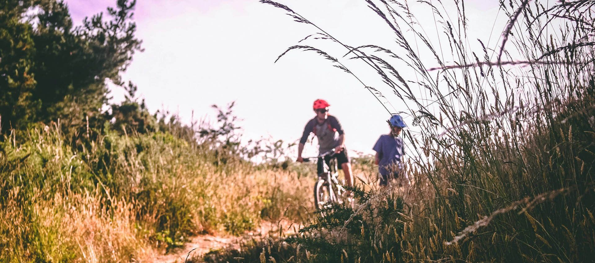 Two people are riding bicycles down a trail in the woods.