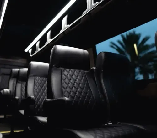 Black leather seats inside a dark vehicle, with a view of palm trees through the window.
