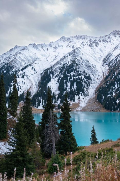 Snow-capped mountains rise above a turquoise lake, framed by evergreens and dry grass under a cloudy sky.
