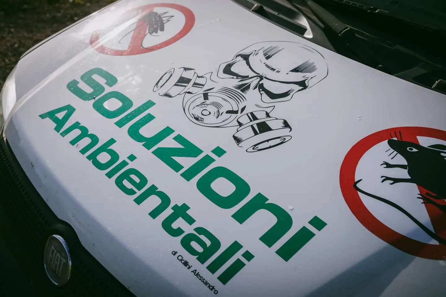 Cofano bianco per auto con scritta