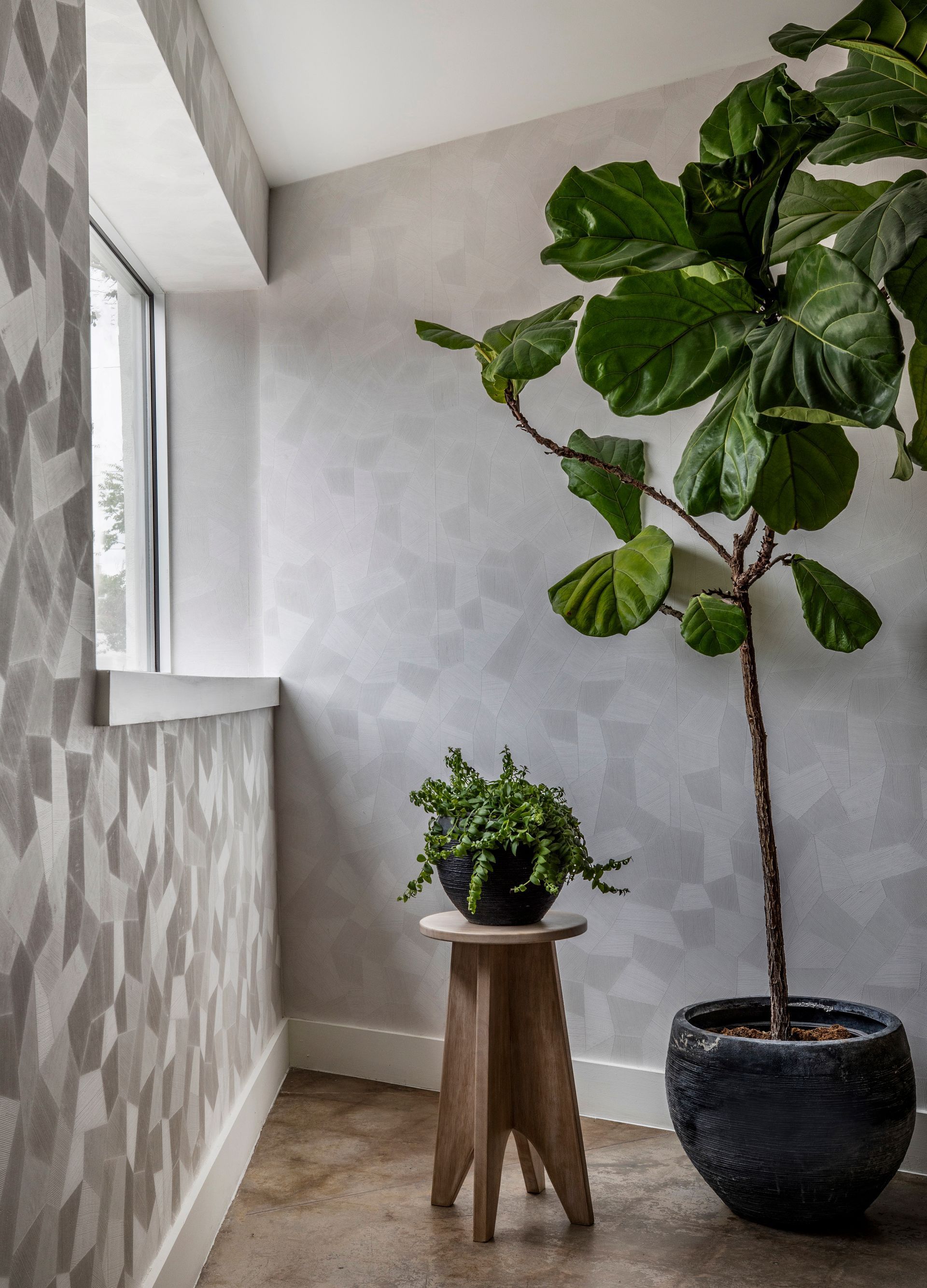 M Salon Houston Interior