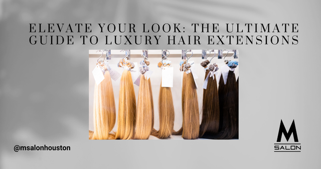 Elevate Your Look with Hair Extensions | M Salon | Houston TX display picture 1