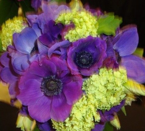A bouquet of purple and yellow flowers with green leaves