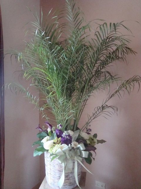 A potted plant with flowers in it is sitting on a table