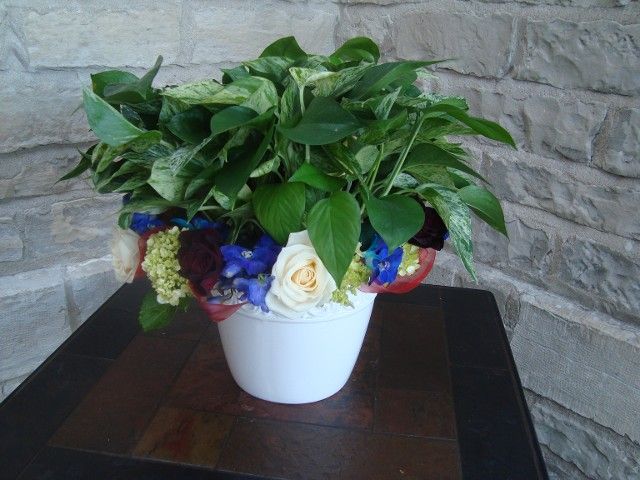 A potted plant with flowers in it is on a table