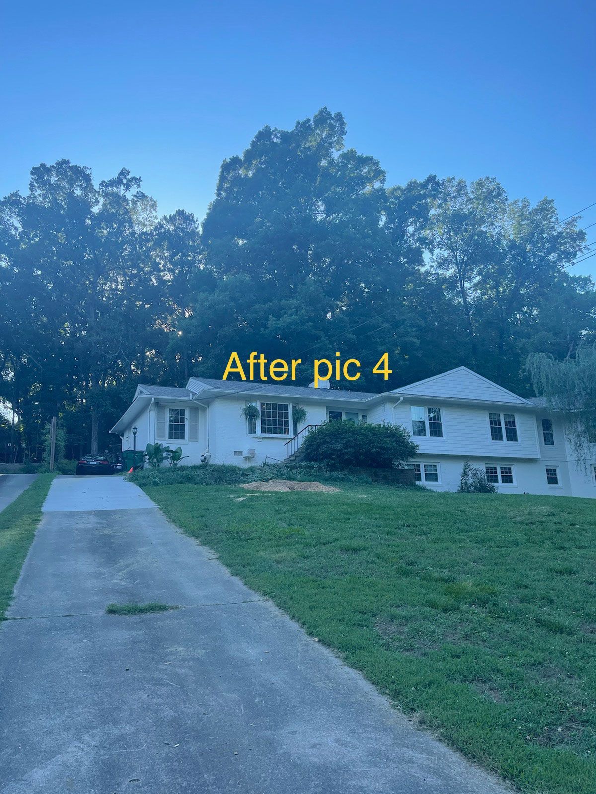 Large White Abode | Charlotte, NC | Elephant Trunk Tree and Landscaping