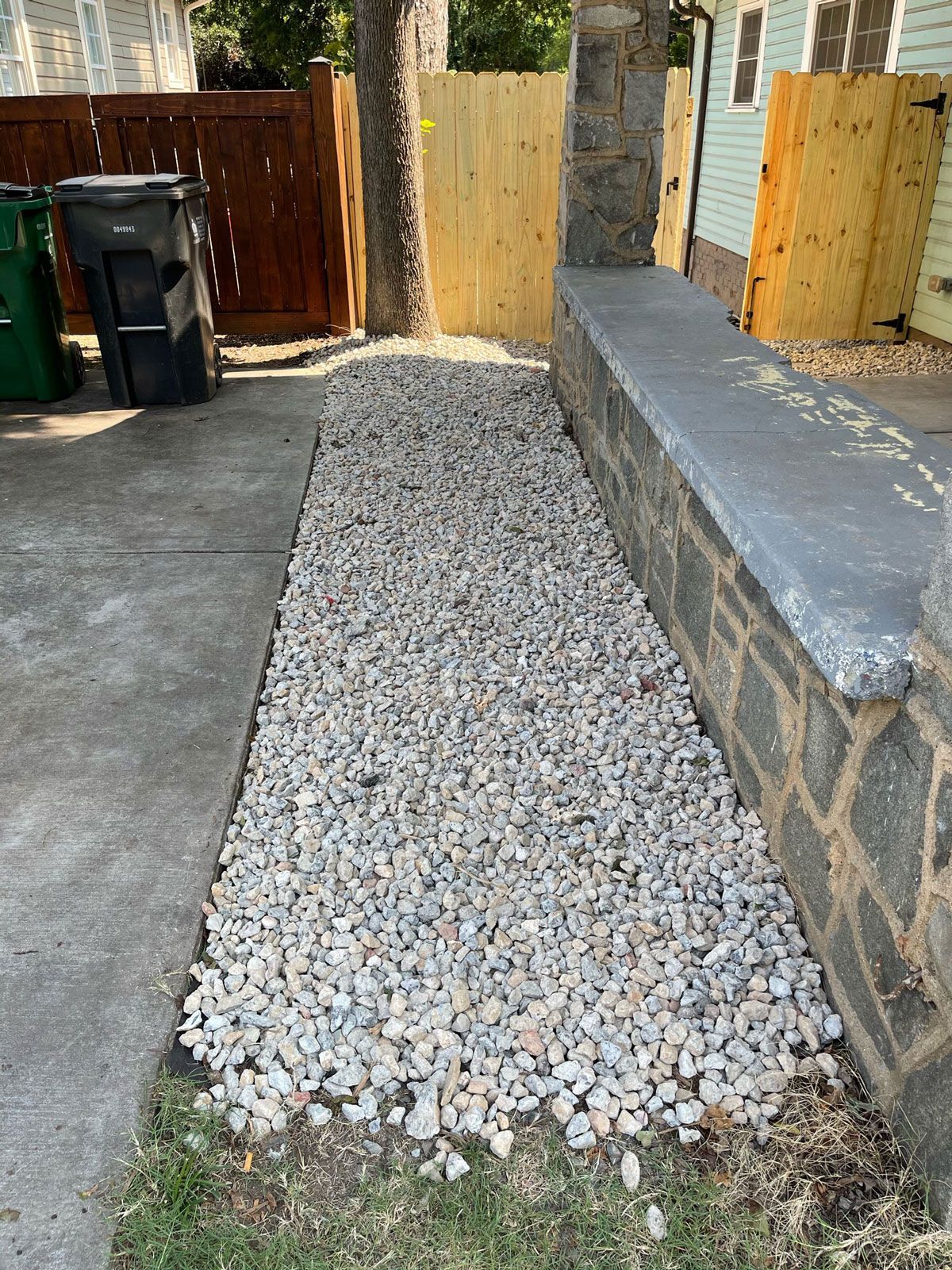 Pebbles On The Ground | Charlotte, NC | Elephant Trunk Tree and Landscaping