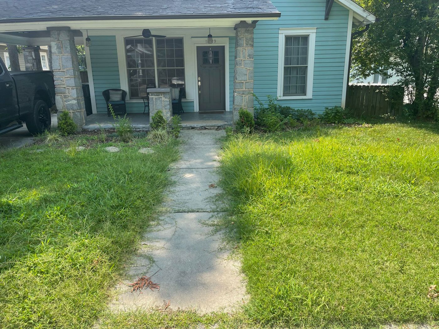 Unclean Front Yard | Charlotte, NC | Elephant Trunk Tree and Landscaping