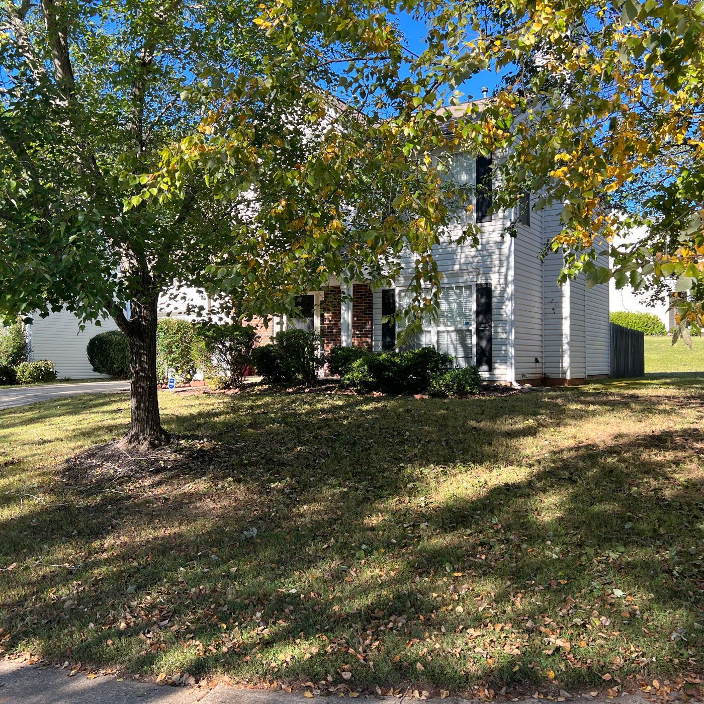 Shaded House | Charlotte, NC | Elephant Trunk Tree and Landscaping