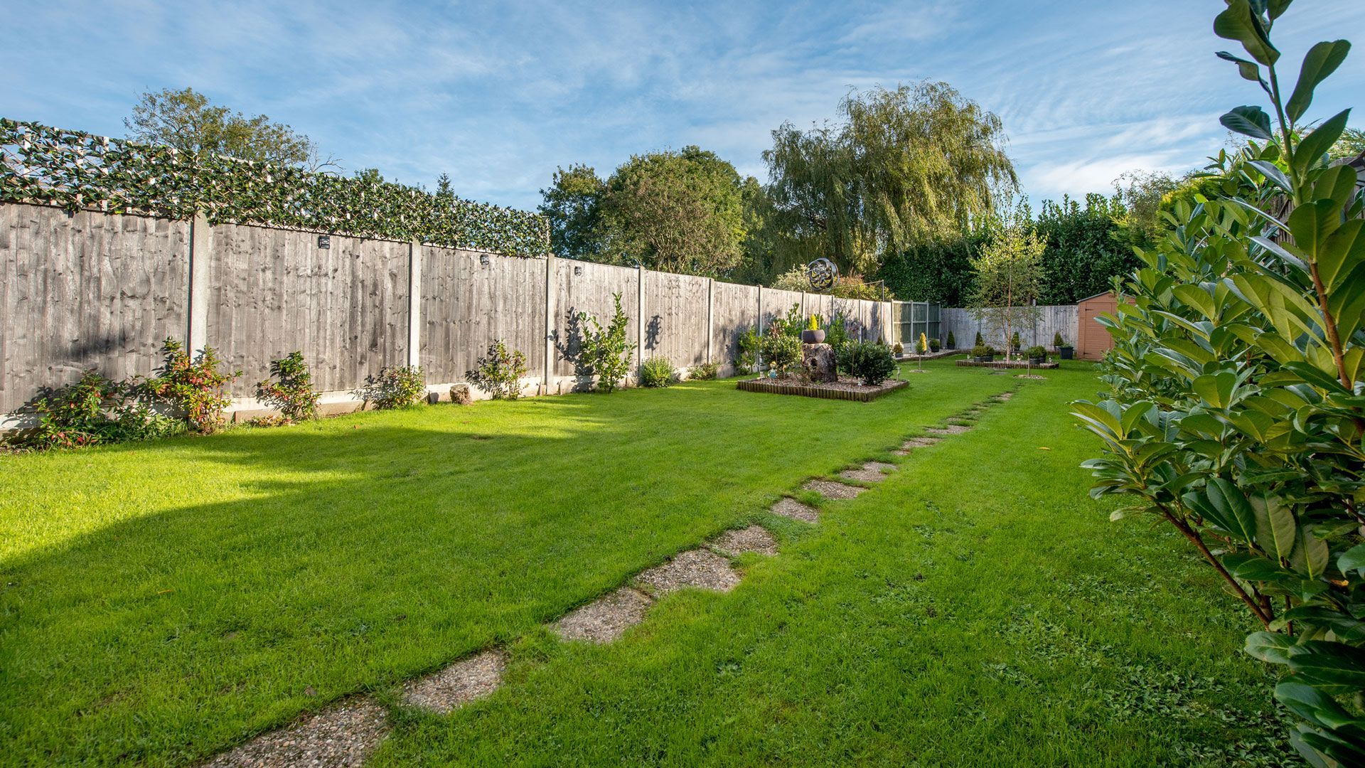 Spacious Field | Charlotte, NC | Elephant Trunk Tree and Landscaping